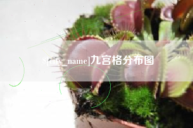 张北九宫格分布图