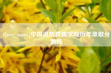 张北中国消防救援学院历年录取分数线