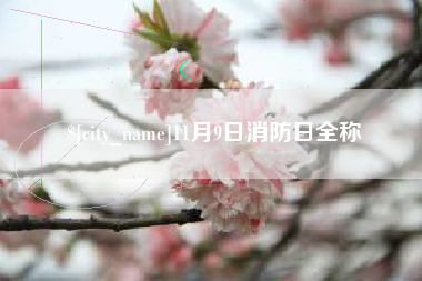 张北11月9日消防日全称