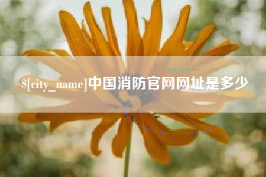 张北中国消防官网网址是多少