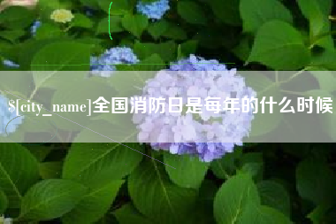 张北全国消防日是每年的什么时候