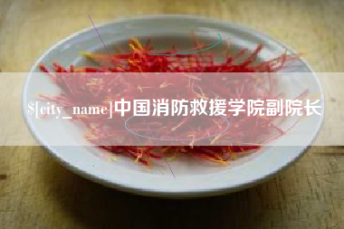 张北中国消防救援学院副院长