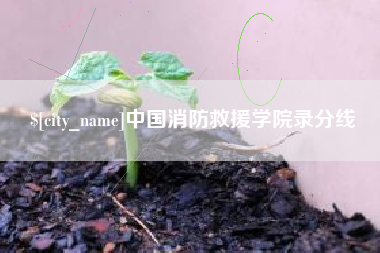 张北中国消防救援学院录分线