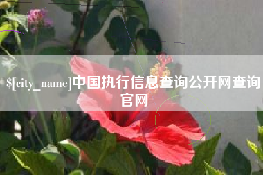 张北中国执行信息查询公开网查询官网