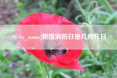 张北我国消防日是几月几日