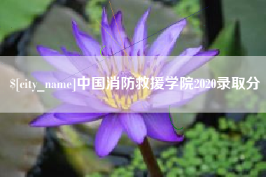 张北中国消防救援学院2020录取分