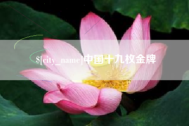 张北中国十九枚金牌