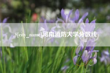 张北河南消防大学分数线