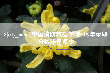张北中国消防救援学院2019年录取分数线是多少