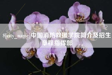 张北中国消防救援学院简介及招生章程指挥部