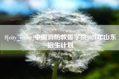张北中国消防救援学院2021年山东招生计划