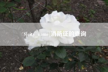 张北消防证的查询