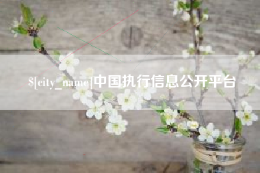 张北中国执行信息公开平台