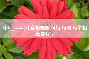 张北九宫格规则,每行,每列,每个粗线都有1-9