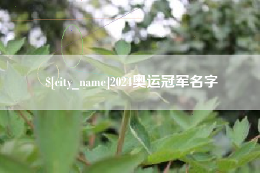 张北2024奥运冠军名字