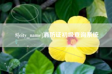 张北消防证初级查询系统