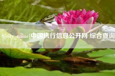 张北中国执行信息公开网 综合查询