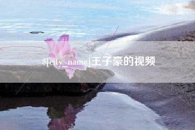 张北王子豪的视频