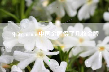 张北中国金牌得了几枚金牌