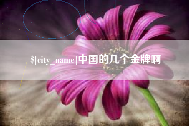 张北中国的几个金牌啊