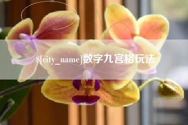张北数字九宫格玩法