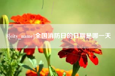 张北全国消防日的日期是哪一天