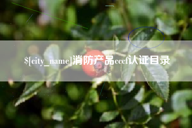 张北消防产品cccf认证目录