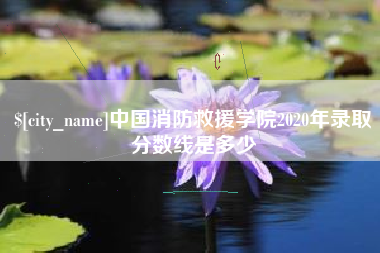 张北中国消防救援学院2020年录取分数线是多少