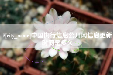 张北中国执行信息公开网信息更新时间是多久