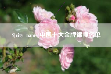 张北中国十大金牌律师名单