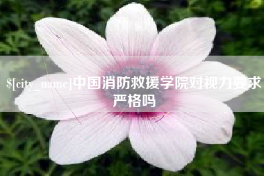 张北中国消防救援学院对视力要求严格吗