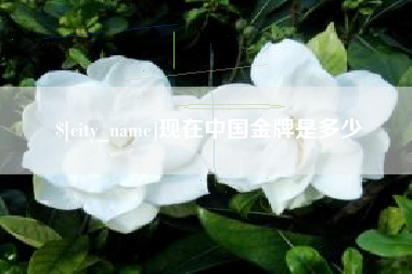 张北现在中国金牌是多少