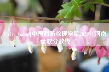 张北中国消防救援学院2020年河南录取分数线