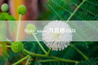 张北九宫格42633