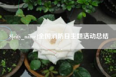 张北全国消防日主题活动总结
