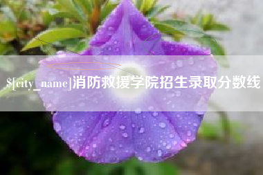 张北消防救援学院招生录取分数线