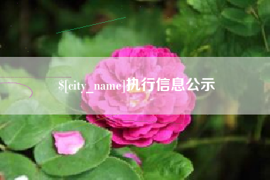 张北执行信息公示