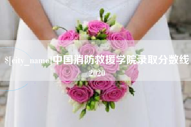 张北中国消防救援学院录取分数线2020