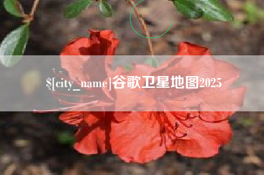 张北谷歌卫星地图2025