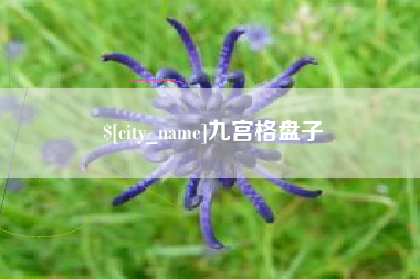 张北九宫格盘子