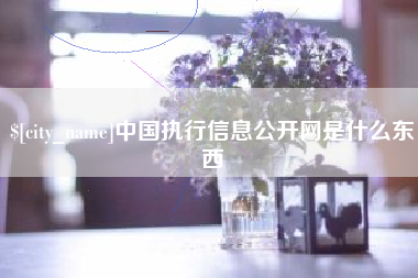 张北中国执行信息公开网是什么东西