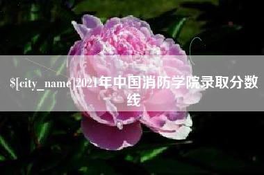 张北2021年中国消防学院录取分数线