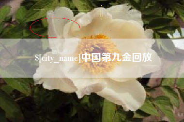 张北中国第九金回放