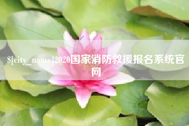 张北2020国家消防救援报名系统官网