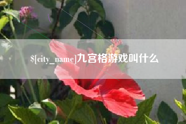 张北九宫格游戏叫什么