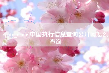 张北中国执行信息查询公开网怎么查询