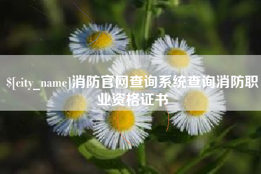张北消防官网查询系统查询消防职业资格证书