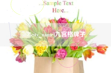 张北九宫格牌子