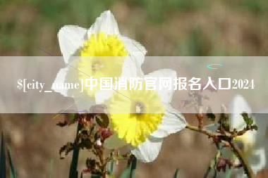 张北中国消防官网报名入口2024