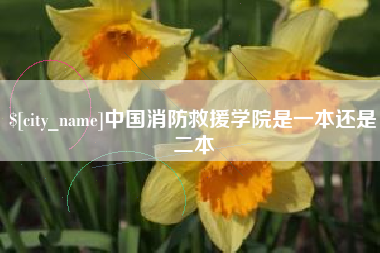 张北中国消防救援学院是一本还是二本